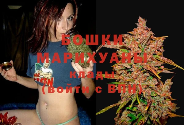 Альфа ПВП Протвино