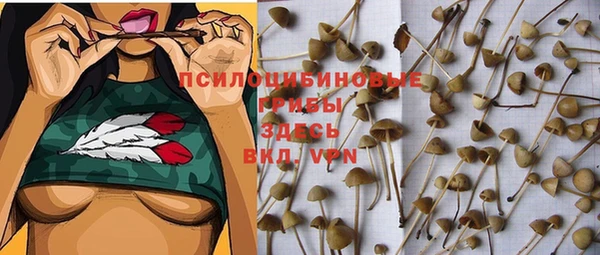 мет Богданович